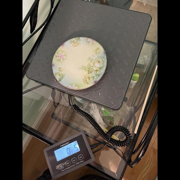 Steinmann Silesien Bavaria Vintage 1932-1938 Hand Painted Roses Grapes Plate 6.5 - Picture 11 of 11